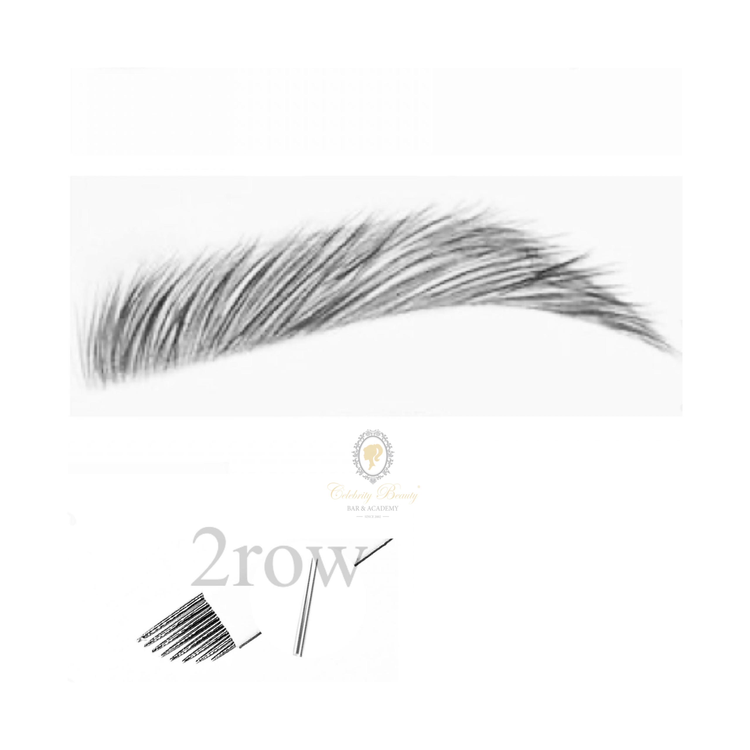 IMG_2097 microblading obots