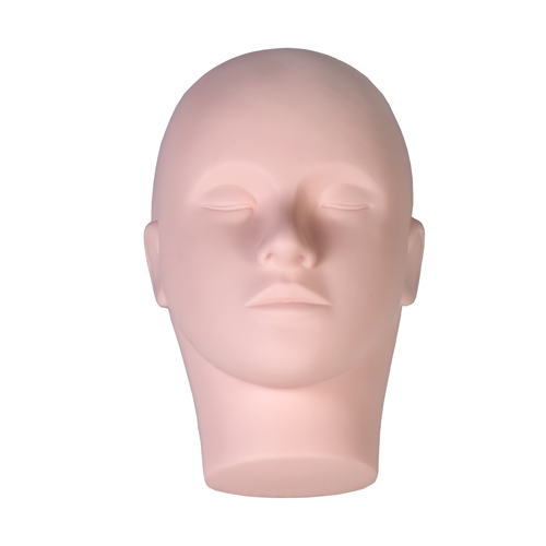 head.jpg cvičební hlava